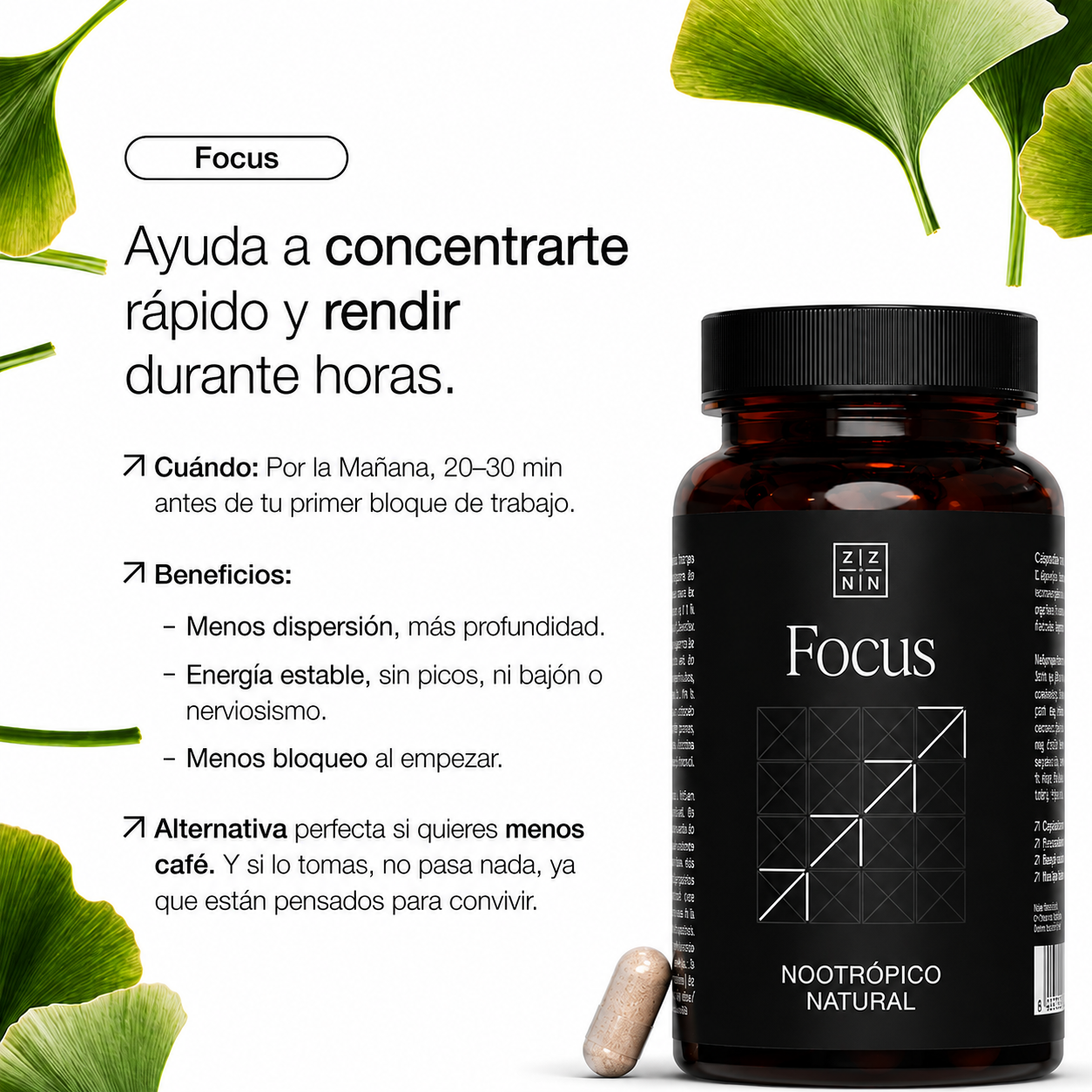 MODO ZZNN - sueño profundo y recuperación nocturna