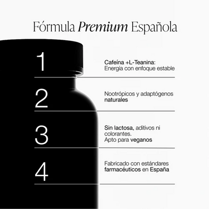 Ingredientes de ZZNN Focus: Bacopa Rhodiola L-Teanina